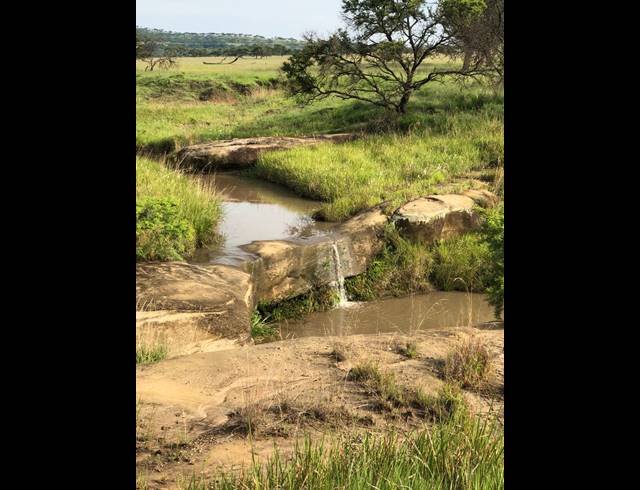 691HA FARM FOR SALE IN NEWCASTLE CENTRAL